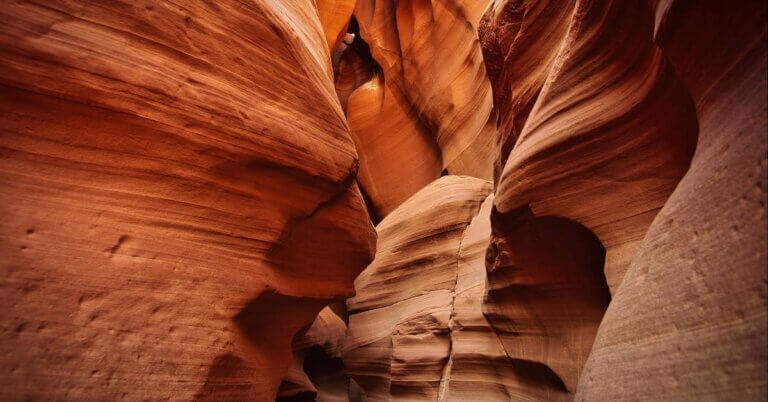 Arizona’s Definition of an English Learner: What It Means and Where to Learn English