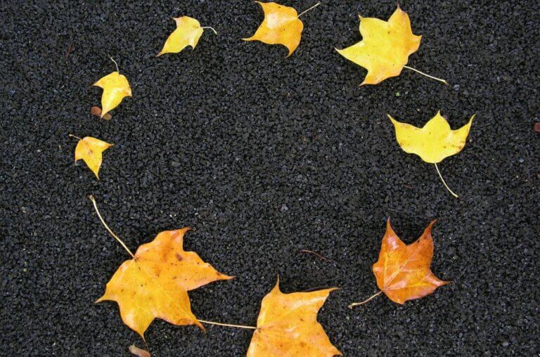 Circle Calculator: How to Calculate Area, Circumference, Diameter, and Radius